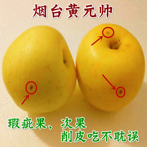 粉面烟台黄元帅香蕉5斤包邮苹果