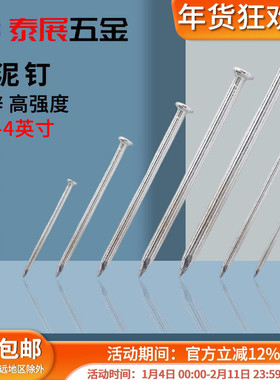 水泥钉泰展5分-4英寸挂画钉挂钩钉自攻螺钉 挂照片钉子相框钉墙钉