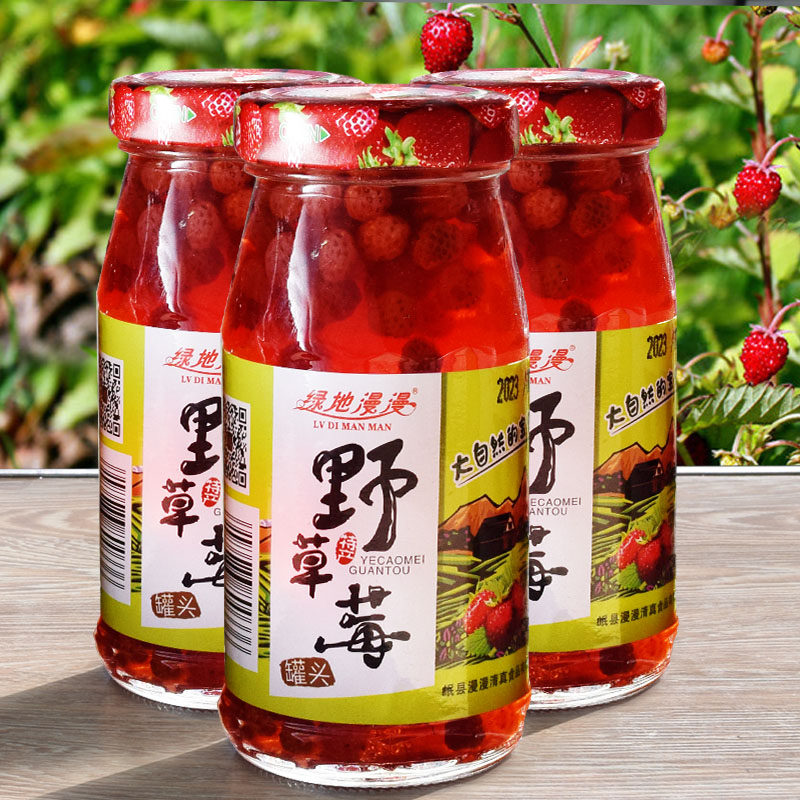 岷县漫漫野草莓罐头新鲜野生水果瓢儿罐头210g*6瓶装包邮23年新货