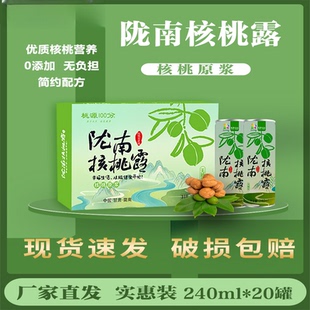 桃源100分甘肃陇南核桃露核桃乳饮料240ml健康营养送礼20罐