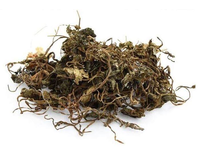 青天葵中药材青天葵50克独脚天葵 珍珠叶 半边伞 坠千斤