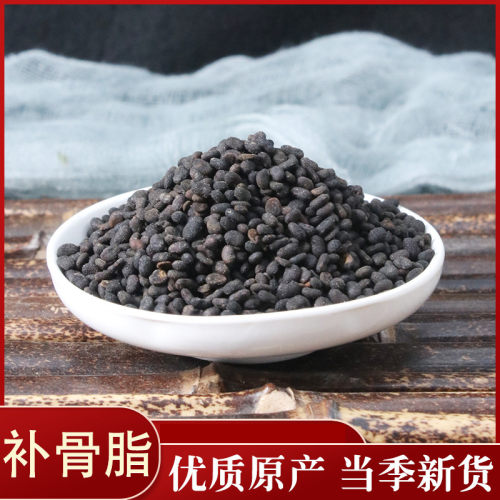 补骨脂破故纸中药材