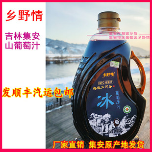 乡野情吉林集安北冰红冰葡萄汁NFC山葡萄长白山鲜榨果汁顺丰包邮