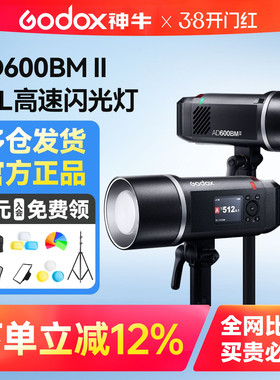 Godox 神牛外拍闪光灯AD600BM II 二代 闪光灯自动测光TTL 户外摄影灯高速同步摄影棚外拍灯600W大功率影室灯