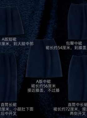 藏青蓝色半身裙女短中长直筒包臀Aa版羊毛呢加厚实保暖通勤OL显瘦