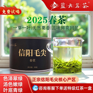 蓝天茗茶2025新茶信阳毛尖特级绿茶一芽一叶春茶氮气包装 50g 罐装