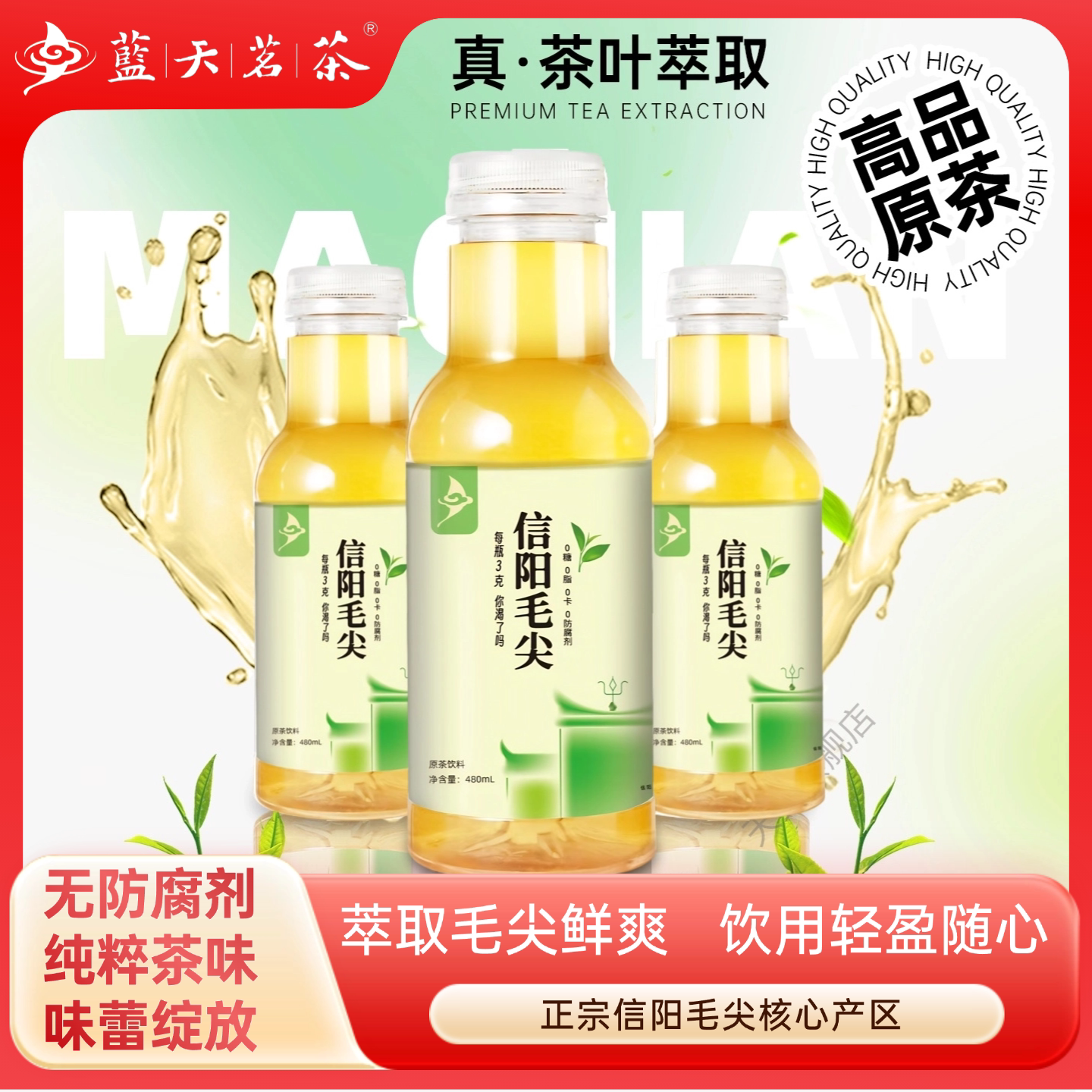 信阳毛尖冷泡茶无糖饮料0卡绿茶