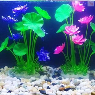 饰仿真小水草塑料假花草搭配假山布景造景植物 水族箱造景鱼缸装