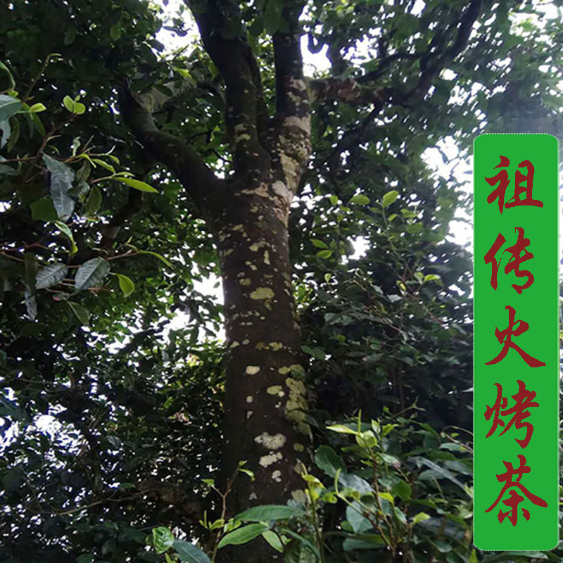 云南茶叶绿茶百年生态古树茶古树火烤茶百抖茶 散装 一级250克