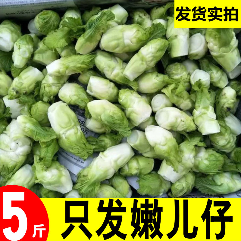 四川儿菜5斤时令嫩儿仔新鲜绿色蔬菜农家自种娃娃菜母子泡菜原料