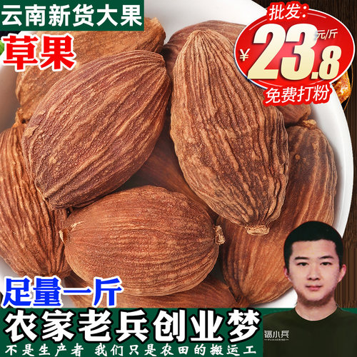 香料大全草果调味料云南八角桂皮