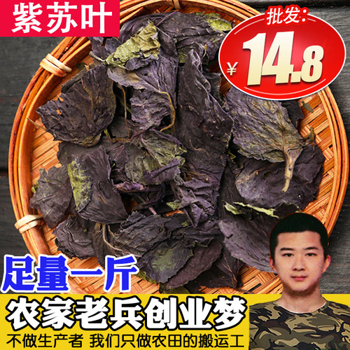 紫苏叶500g江苏紫苏叶新鲜苏子叶