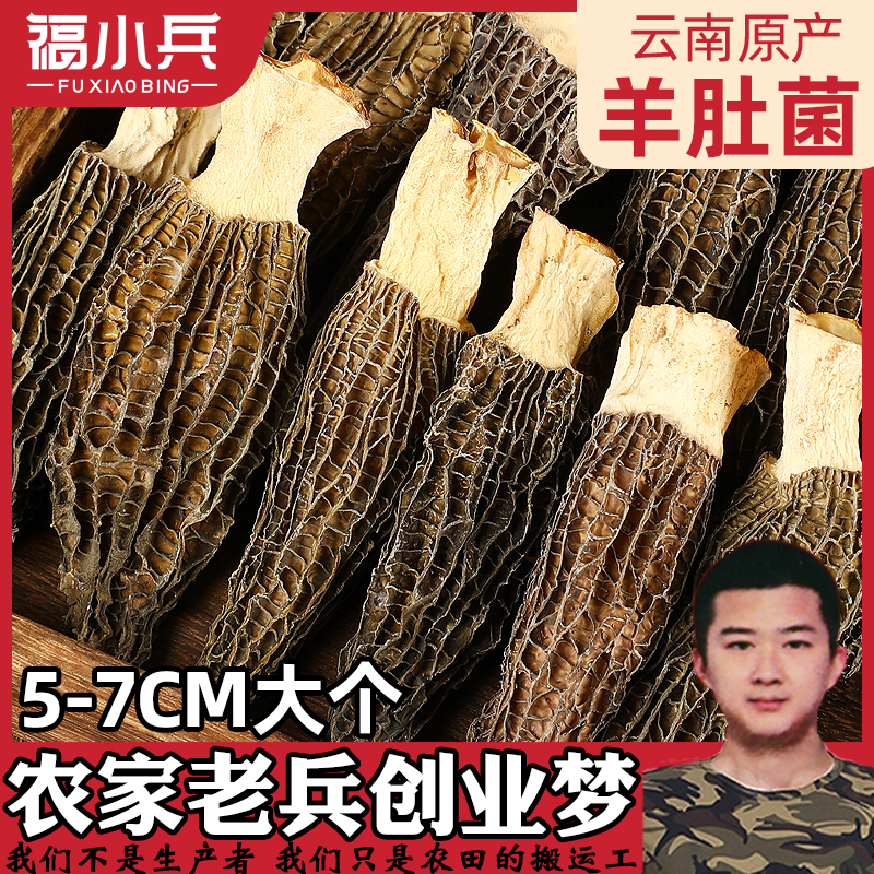 精品头茬新鲜羊肚菌炖鸡煲汤干货