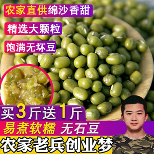 福小兵新鲜农家绿豆粮油颗粒饱满肉多皮薄500g 绿豆 买3送1斤 包邮