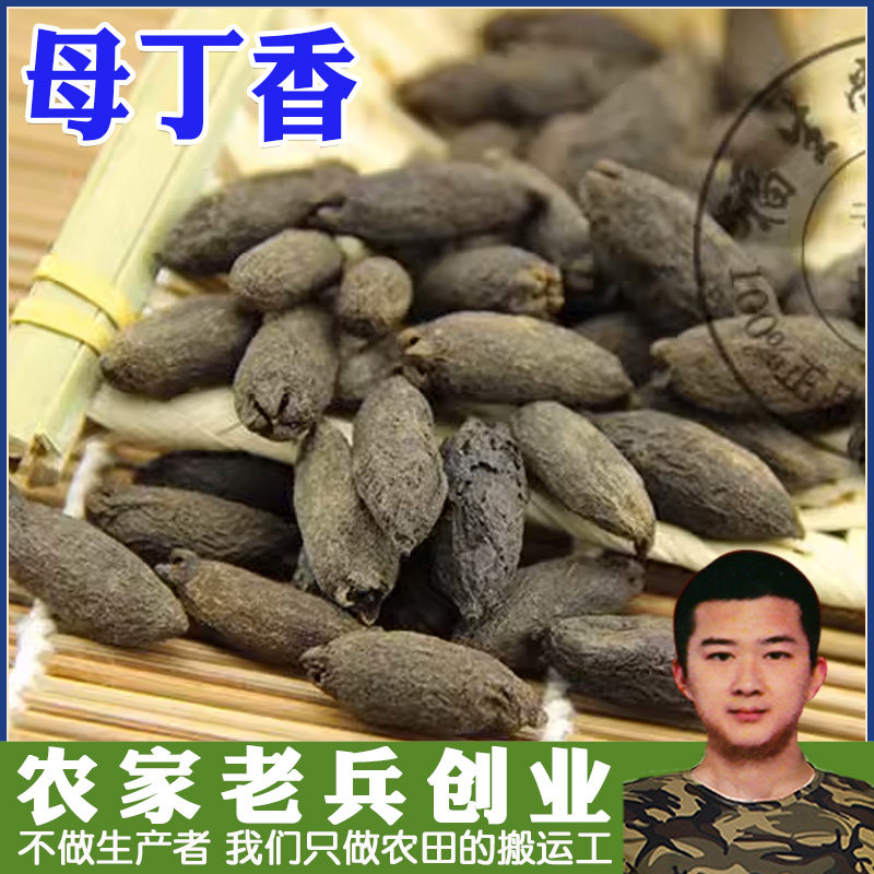 常用中药材大全 母丁香 鸡舌香 雌丁香 温中散寒 中药材香料 50g