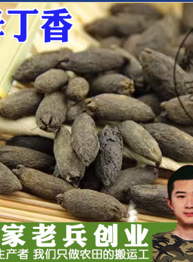 常用中药材大全 母丁香 鸡舌香 雌丁香 温中散寒 中药材香料 50g