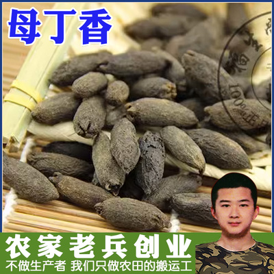 常用中药材大全 母丁香 鸡舌香 雌丁香 温中散寒 中药材香料 50g