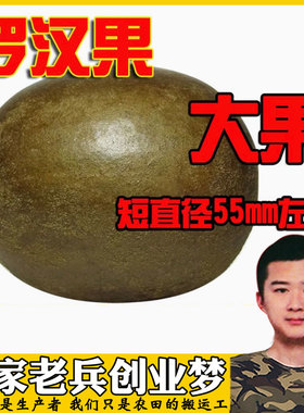 罗汉果农产品广西桂林特产罗汉果茶特王果短轴直径大于63mm新货