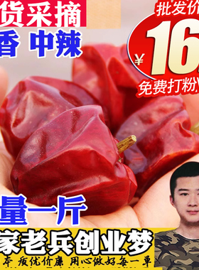 贵州灯笼椒500g中辣特香灯笼辣椒干辣椒红辣椒海椒麻辣香锅干火锅