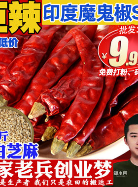 印度魔鬼辣椒500g香辣特辣超辣王农家干辣椒商用可磨粉面切辣椒段