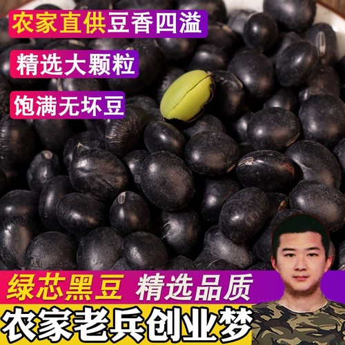500g东北乌皮青仁绿心黑豆