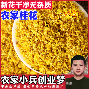 桂花清香散装 新货金桂花茶天然干桂花超香优质花草茶桂林特产500g