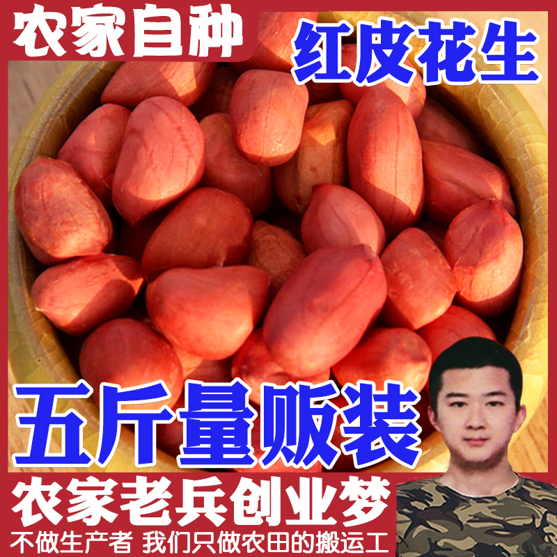 五斤红衣新货可榨油水煮花生米