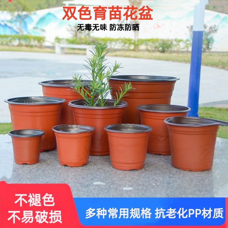 双色育苗花盆营养钵塑料种植一次性扦插加厚大号培养草莓多肉花卉