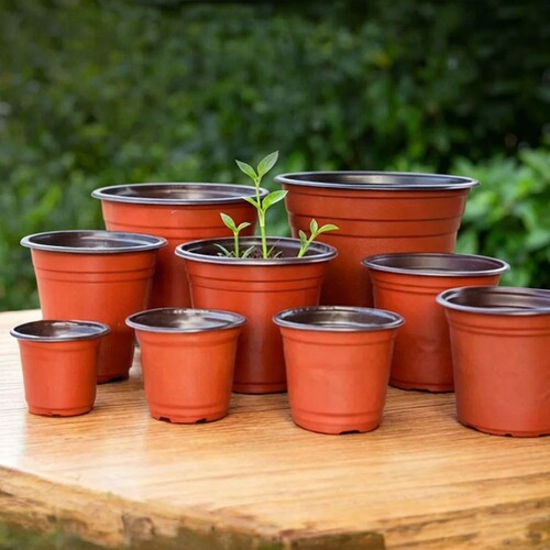双色盆育苗盆塑料花盆一次性盆营养钵培育栽绿植扦插盆种植种菜