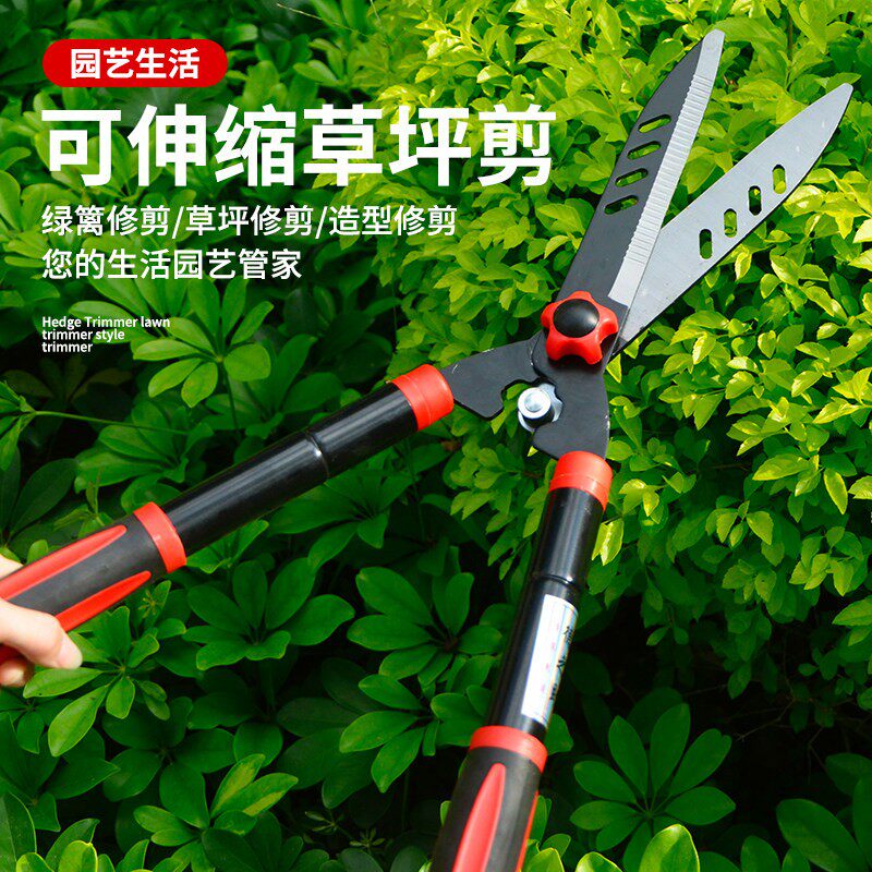 园艺修剪树枝剪刀修枝剪果树专用园林花剪绿化草坪绿篱强力粗枝剪图片