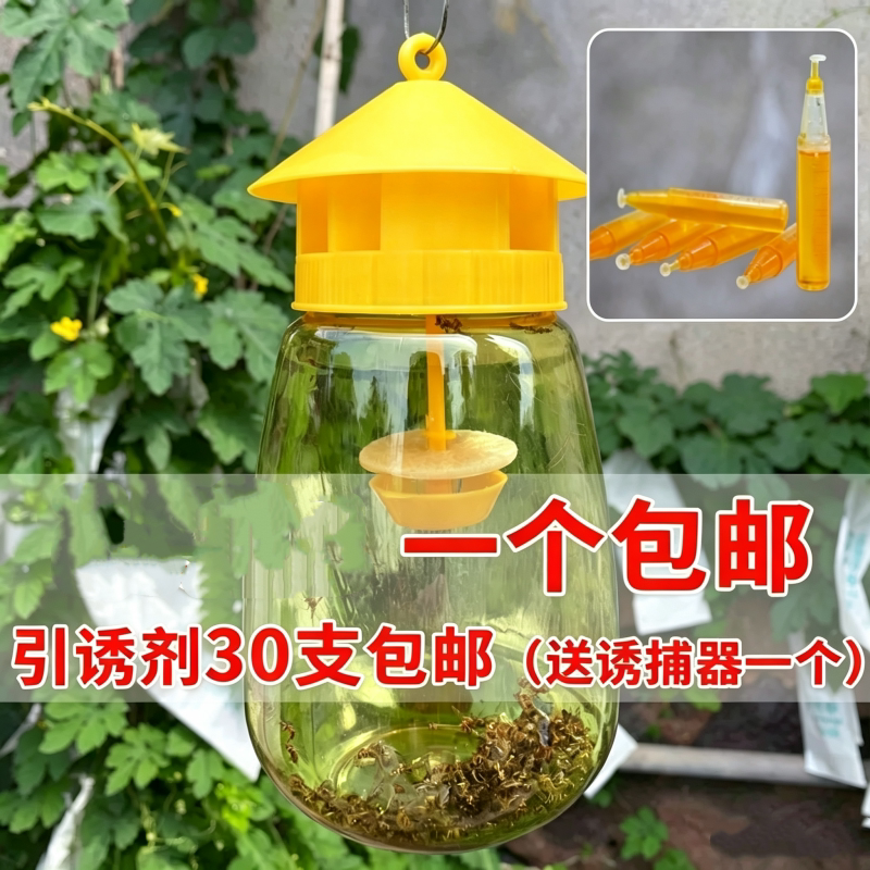 果蝇诱捕器果园菜地瓜果实蝇针蜂 瓜蝇引诱剂内含捕抓器诱剂包邮