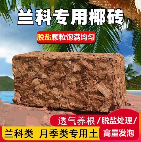 椰砖兰花君子兰专用营养土