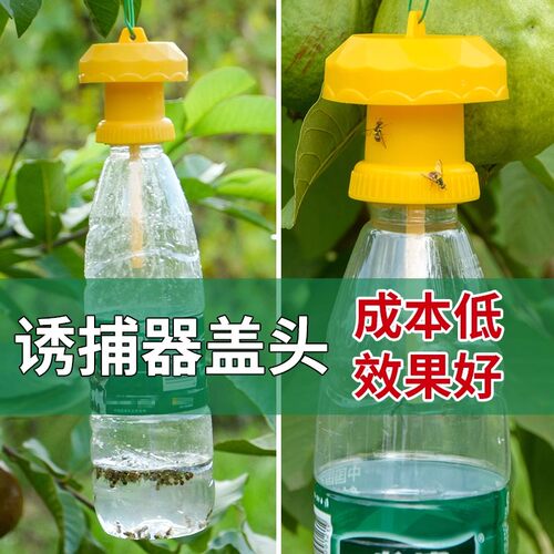 简易果蝇诱捕器盖头果园瓜地桔小实蝇针锋瓜蝇诱引捕捉诱剂果蝇药