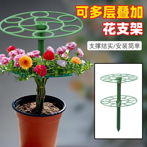 太阳花棒棒糖造型支架叶仙人掌蟹爪兰嫁接用单层多层支撑固定花架