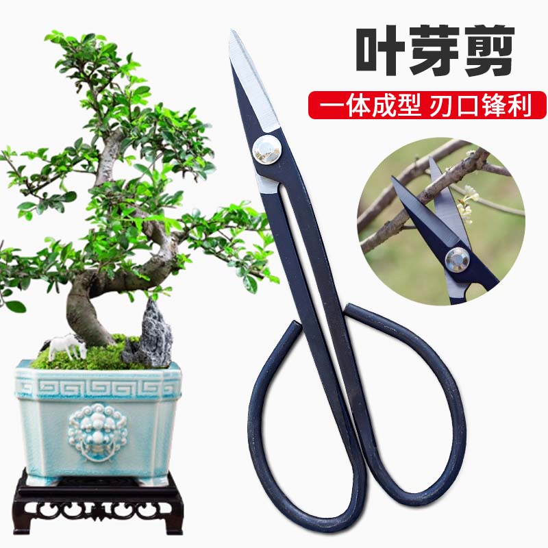 叶芽小枝剪盆景剪刀修剪芽剪园艺修枝专业花剪插花制作工具
