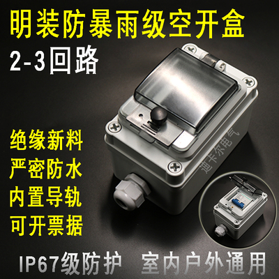 PZ30配电箱漏保开关盒IP67
