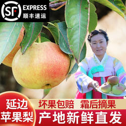 延边苹果梨龙井果树农场新鲜水果霜后脆甜汁多东北特产延吉发货