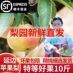 延边苹果梨龙井果树农场新鲜水果霜后脆甜汁多东北特产延吉发货