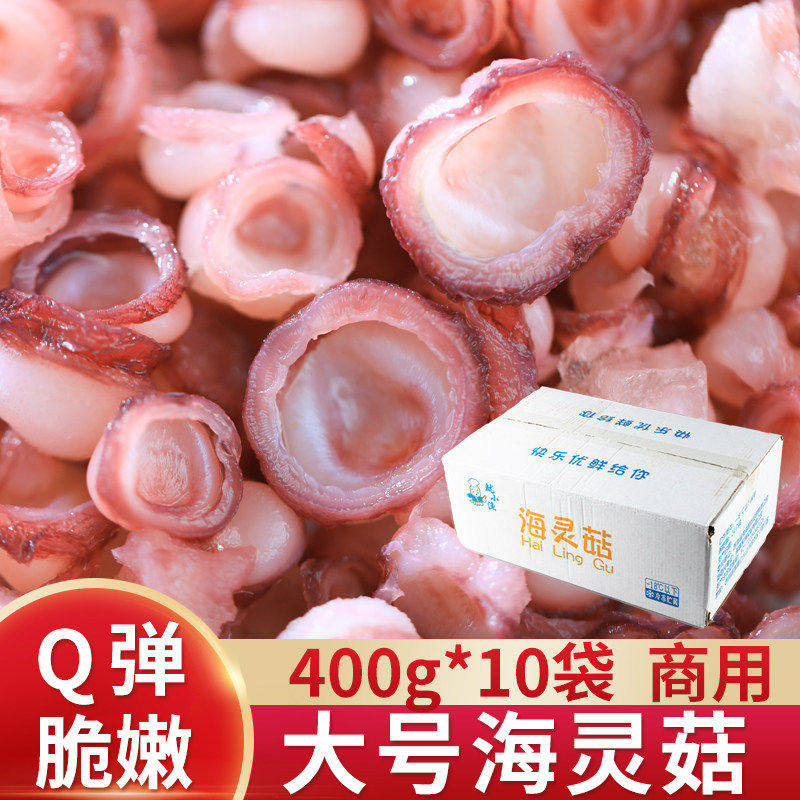 海灵菇商用特大号冷冻水产海鲜400g*10袋整箱Q弹脆爽火锅辣炒食材