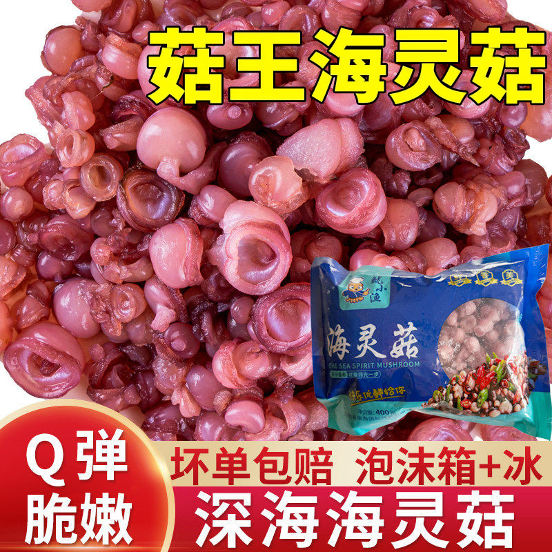 延边啤酒菜辣炒海灵菇400g下饭章鱼足新鲜冷冻鱿鱼海鲜火锅食材
