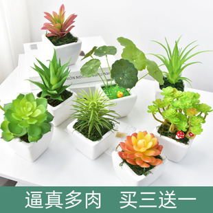 田园迷你仿真多肉植物盆栽摆件假多肉绿植假花盆景店铺家居装饰花