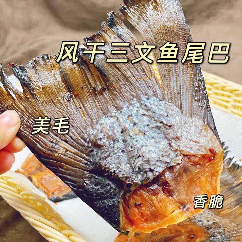 宠物狗零食烘烤三文鱼尾磨牙洁齿营养幼犬小中型犬美毛骨头