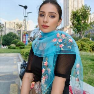 薄款春秋泡泡纱围巾绣花丝巾女士冬天百搭复古民族风刺绣配旗袍
