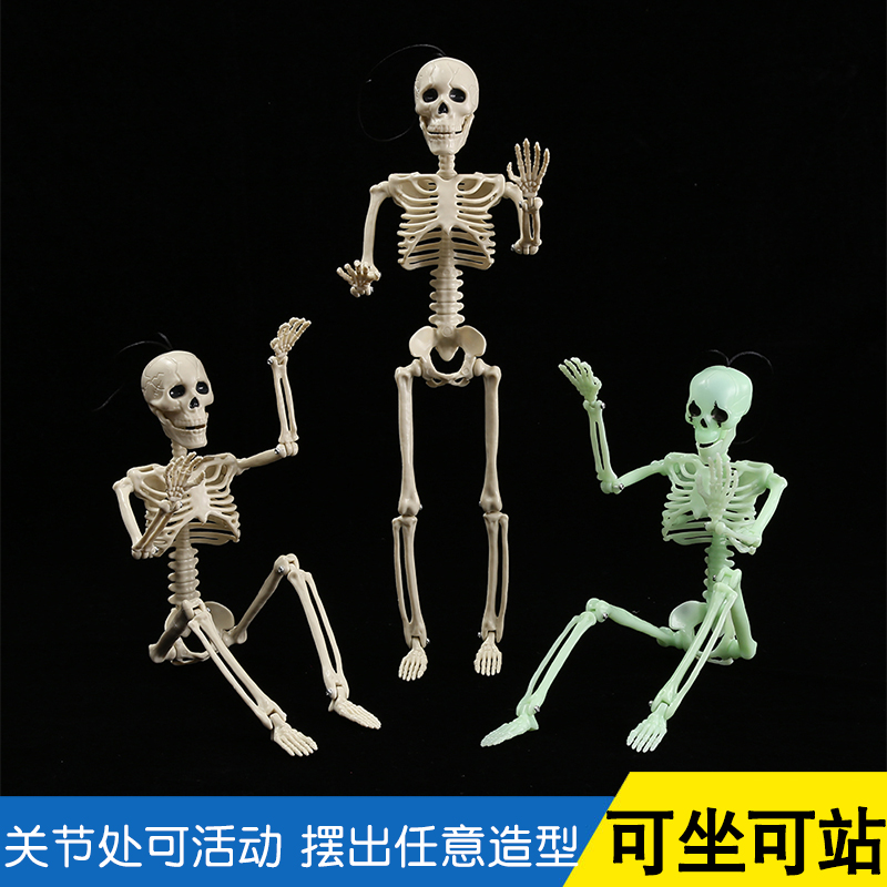 万圣节装饰夜光骷髅摆件仿真塑料人体骨架关节可活动手办挂件道具