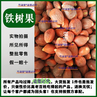 铁树果实 铁树果铁树籽凤凰蛋 苏铁果铁树子有铁树花 铁树果500g