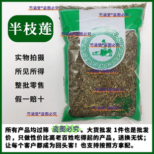 半枝莲搭八角莲八角金盘中药材百白花蛇舌草半枝莲茶铁树叶野生