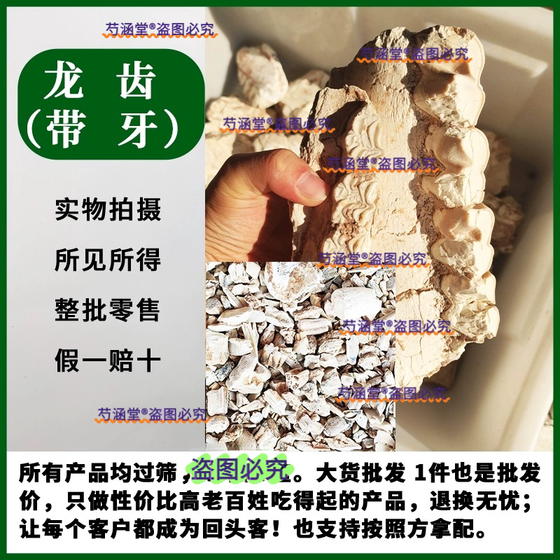 龙齿 青龙齿白龙齿龙齿块个牙齿化石中药材碎龙齿龙齿粉另售龙骨