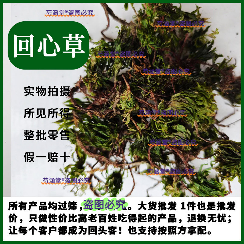 回心草 正宗云南中药材野生250g包邮大叶藓茴薪草干品新鲜晒真品