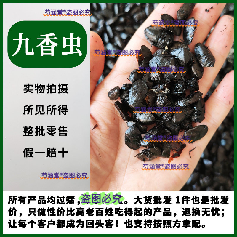 正宗野生九香虫中药材黑兜虫打屁虫非臭壳子虫大小九香虫都有货