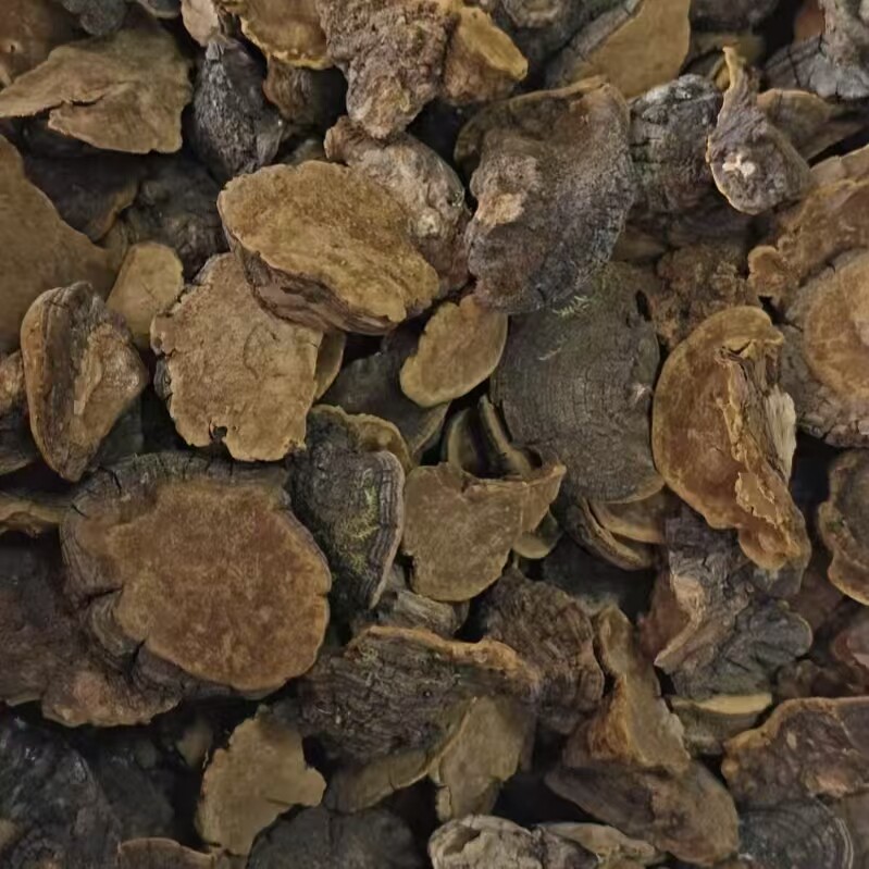 西藏野生桑树桑黄正宗灵芝林芝特级金边桑黄药材500g克一斤装